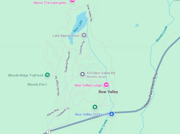 116 John Ebbetts Rd, Bear Valley, CA 95223