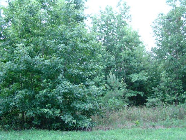 2nd image of 5 Acres, Muscadine Tr.