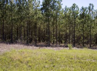 12 Coleman Chapel Rd TRACT 12, Bartow, GA 30413