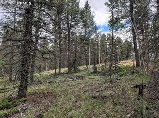 30 W Handcart Cir, Florissant, CO 80816