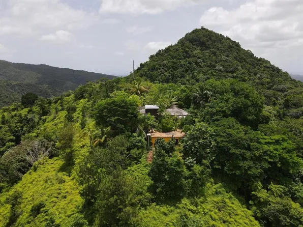 State Highway 120 Kmhm #19.1, Maricao, PR 00606