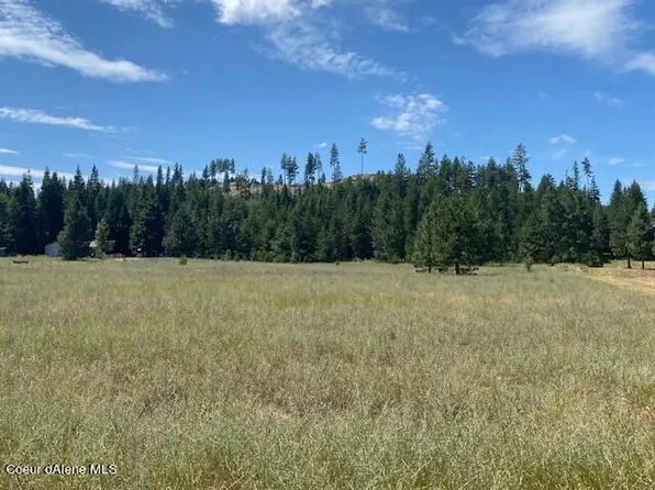 Nna O2a0a Parsons Dr, Priest River, ID 83856