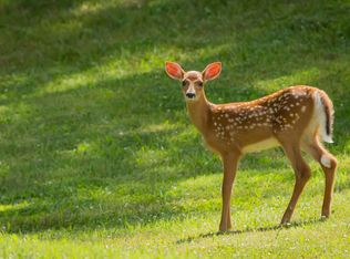 4373 Cook Rd, Woodhull, NY 14898