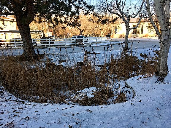Pond outside door