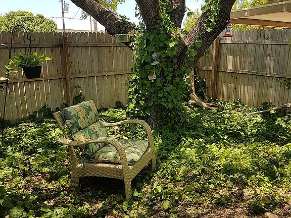 3rd image of 1743 Utah Ave