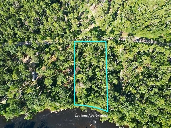 123 NE Chervil Dr, Lee, FL 32059