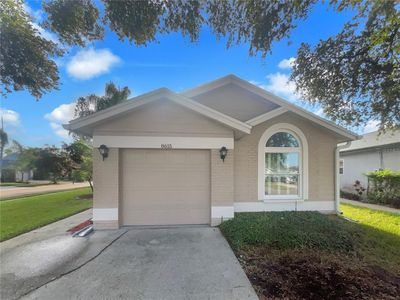 8615 Twin Farms Pl, Tampa, FL, 33635