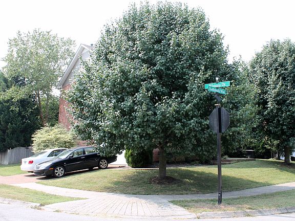 2nd image of 501 Hollyhock Way