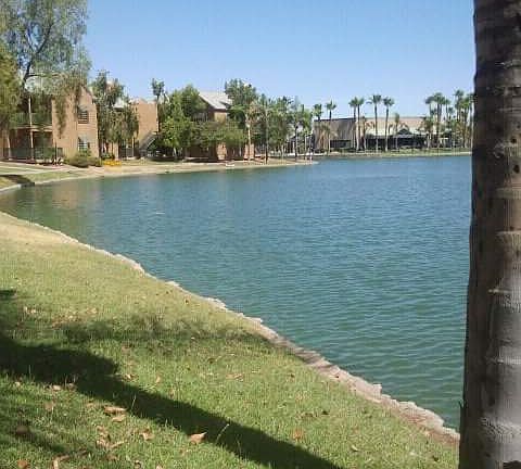 View from Back Porch 