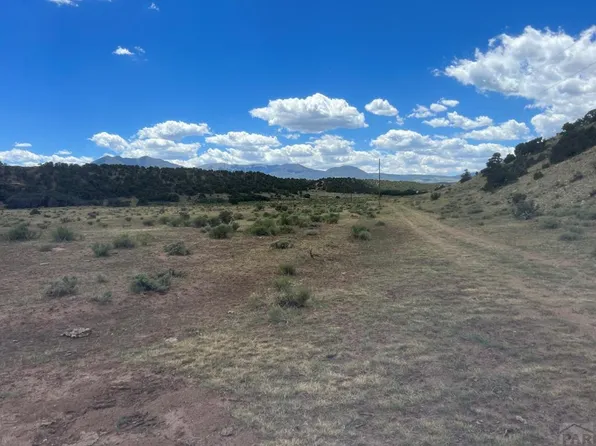 County Road 530, Gardner, CO 81040