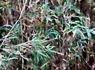 LOT 5 Elm St, Suffolk, VA 23434