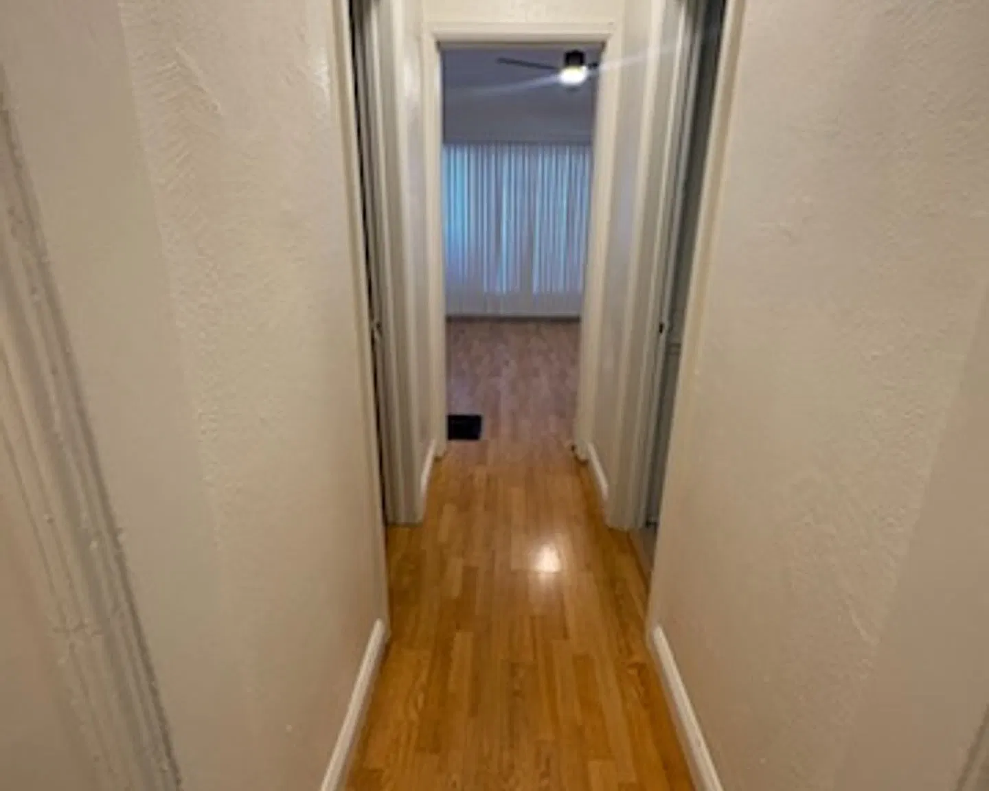 2175 Chestnut Ave #1 — Photo 4