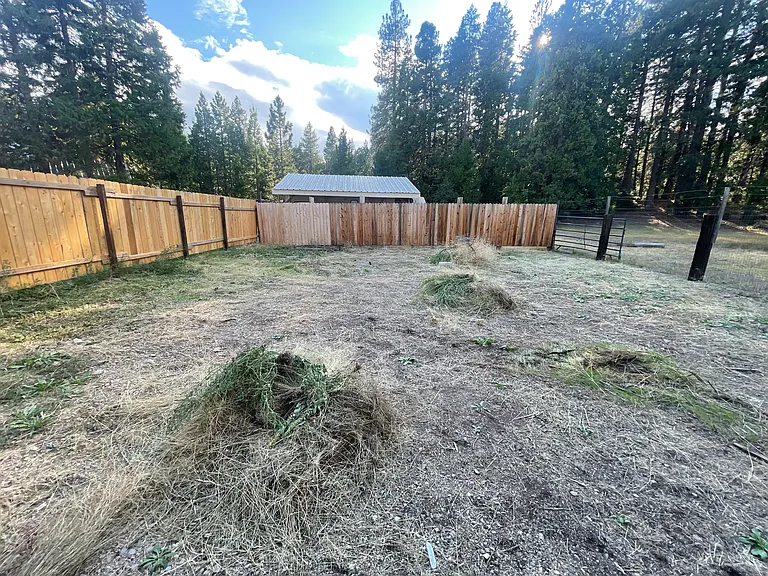 private fenced backyard super sunny for gardening