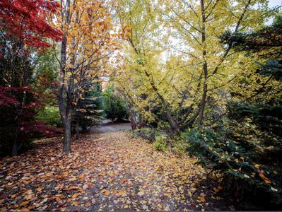 11618 McConnell Rd, Woodstock, IL, 60098