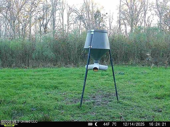 5th image of 1 Butler Rd