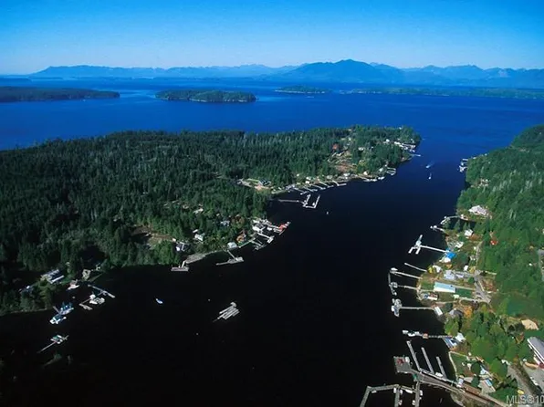 LOT Cape Beale Trl #D, Alberni Clayoquot, BC V0R 1B0