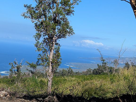 3rd image of 87-1081 Haleili Rd