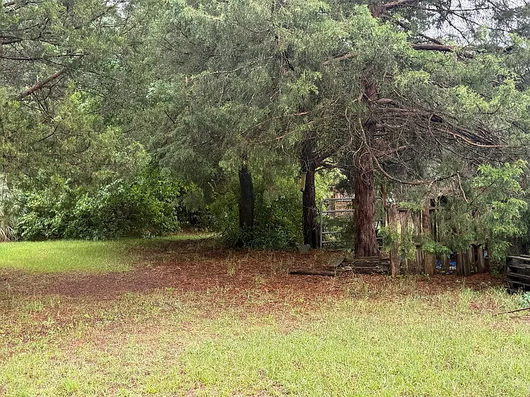 Cougar Dr — Photo 15