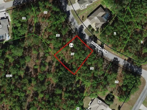 6 Eugenia Ct N, Homosassa, FL 34446