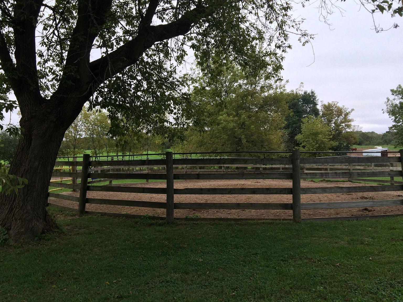 Reese Rd, Harvard — Photo 4