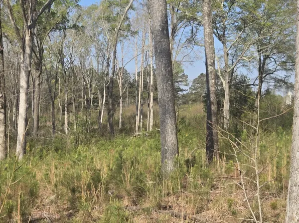 0 Mercier Road, Lincolnton, GA 30817