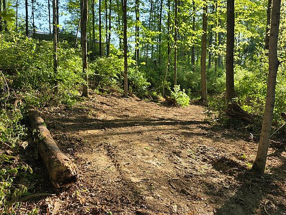 2nd image of 11965 Stone Mill Rd