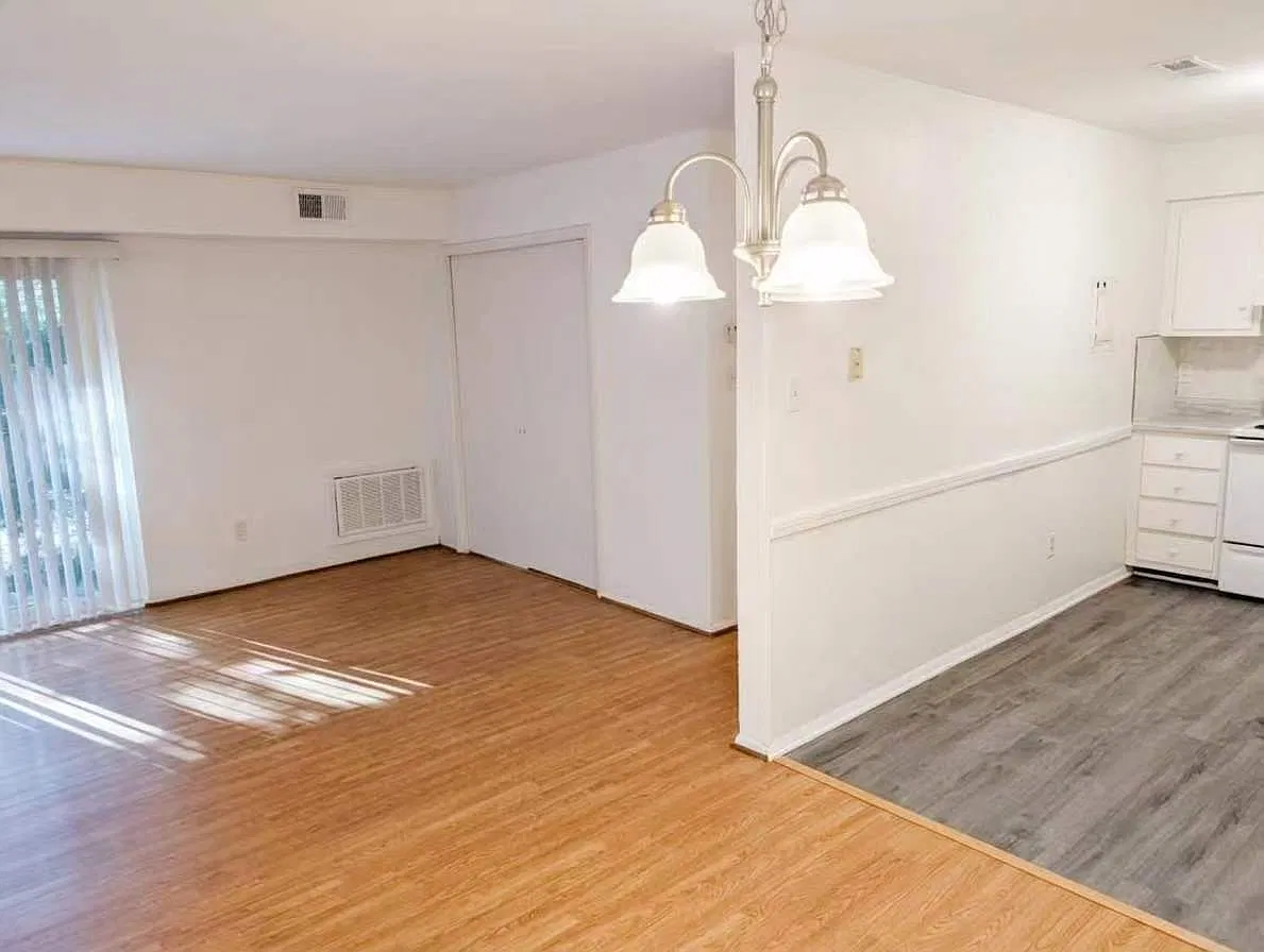 2 bed, 909 sqft, $1,250 — Photo 4