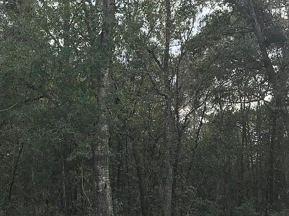 5th image of 0 SE 105th Ter