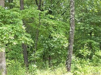 1st image of 0 Martin Rd