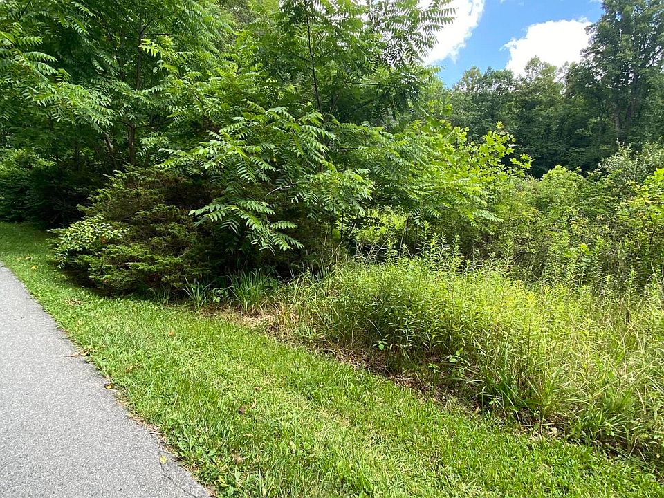 2nd image of 0 Beech Bottom Rd