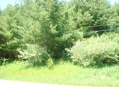 2nd image of Tbd Oak Ridge Drive