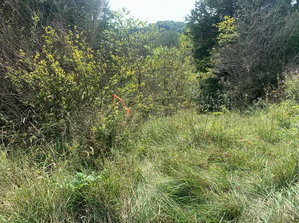 LOT 16&17 Buckeye Hills Rd, Falmouth, KY 41040