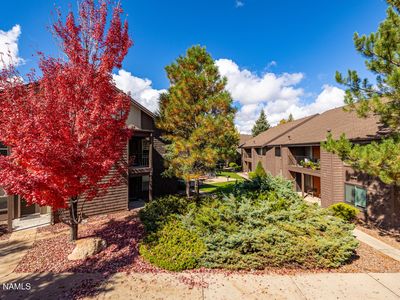 1200 S Riordan Ranch St APT 98, Flagstaff, AZ, 86001