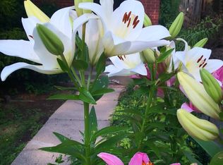 1403 Wightman St APT 4, Pittsburgh, PA 15217