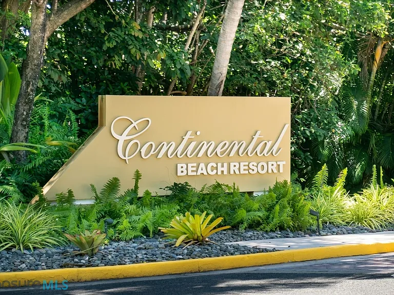 E-7 Continental Beach Resort #E-7 — Photo 35