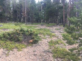 8410 S Warhawk Rd, Conifer, CO 80433