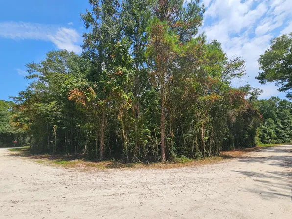 0 135th Ct, O'Brien, FL 32071