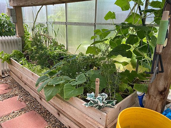 Garden beds in greenhouse 