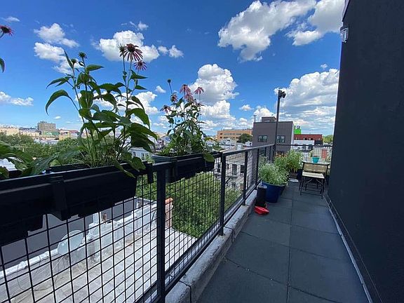 4th image of 296 Grove St Floor 3