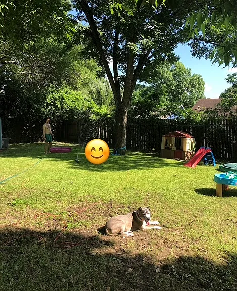 View of the fully fenced in backyard from the patio.