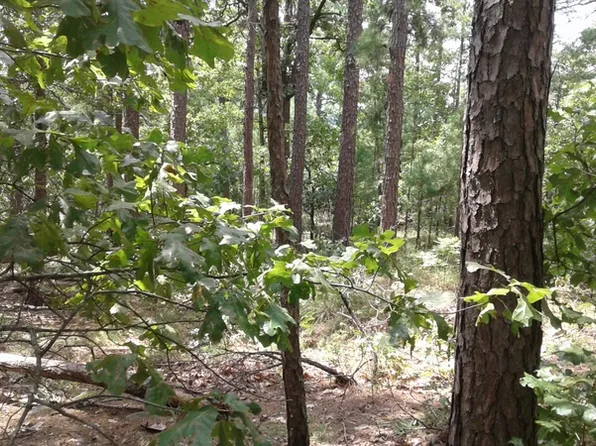 14057 SE 180th Rd, Talihina, OK 74571
