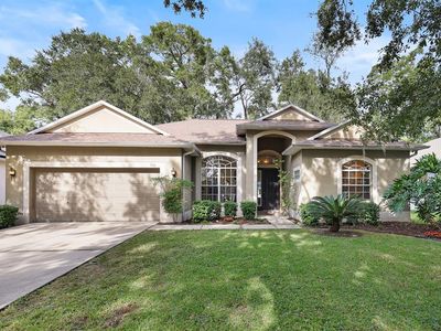 228 Taylor Bay Ln, Brandon, FL, 33510