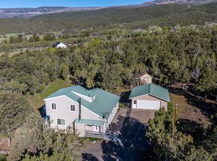 20931 Brimstone Rd, Cedaredge, CO 81413