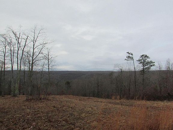 4th image of 308 Chestnut Oak Dr