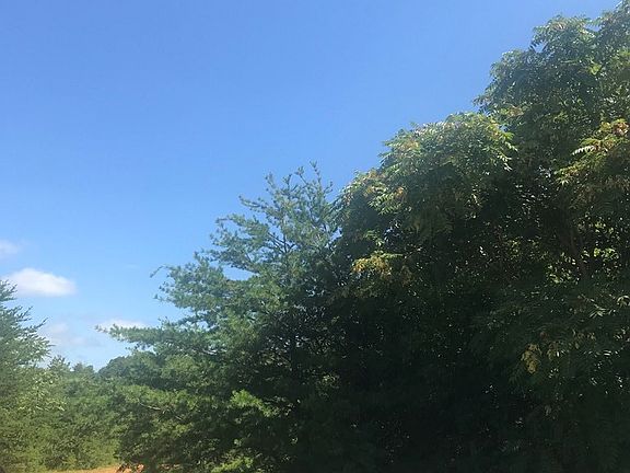 5th image of 42332 Piney Rd Lot 4R2