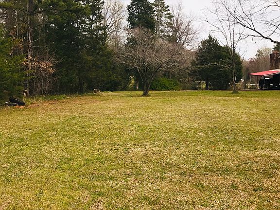 Left side of back yard