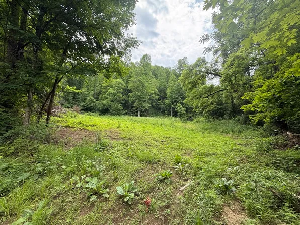 Smackum Rd Lot Wp001, Jackson, KY 41339