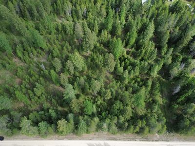 Womack Rd Lot 15, Oldtown, ID, 83822
