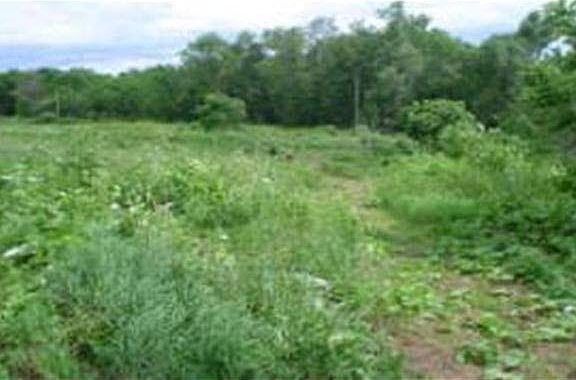 3rd image of S1301 State Hwy 35