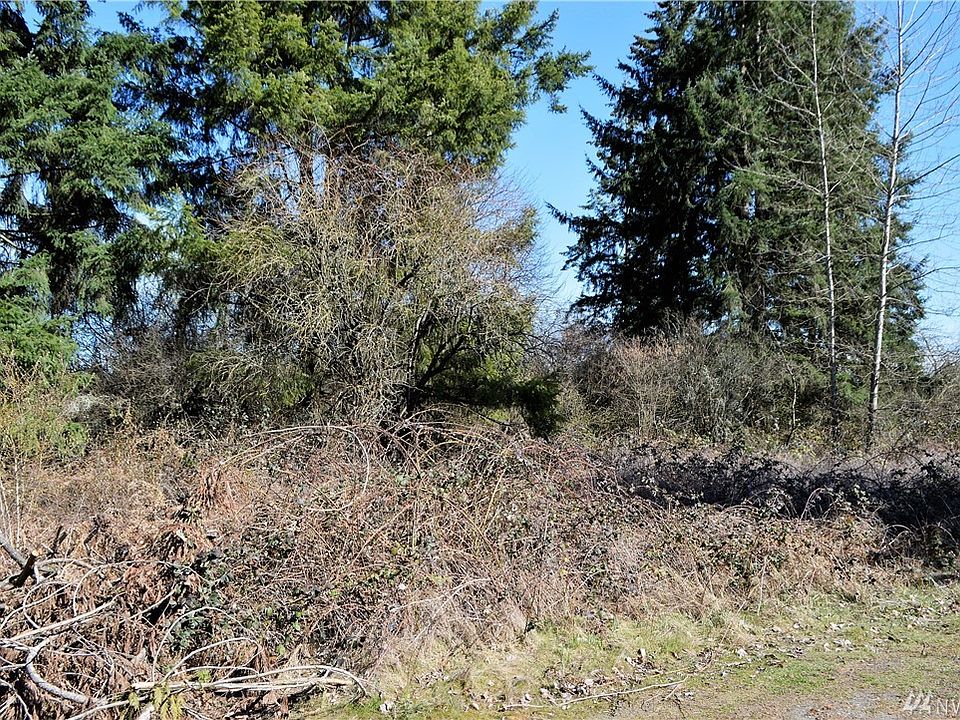 9311 356th St S, Mckenna, WA 98558 Zillow